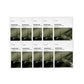 Anua Heartleaf Soothing Sheet Mask 25ml product image